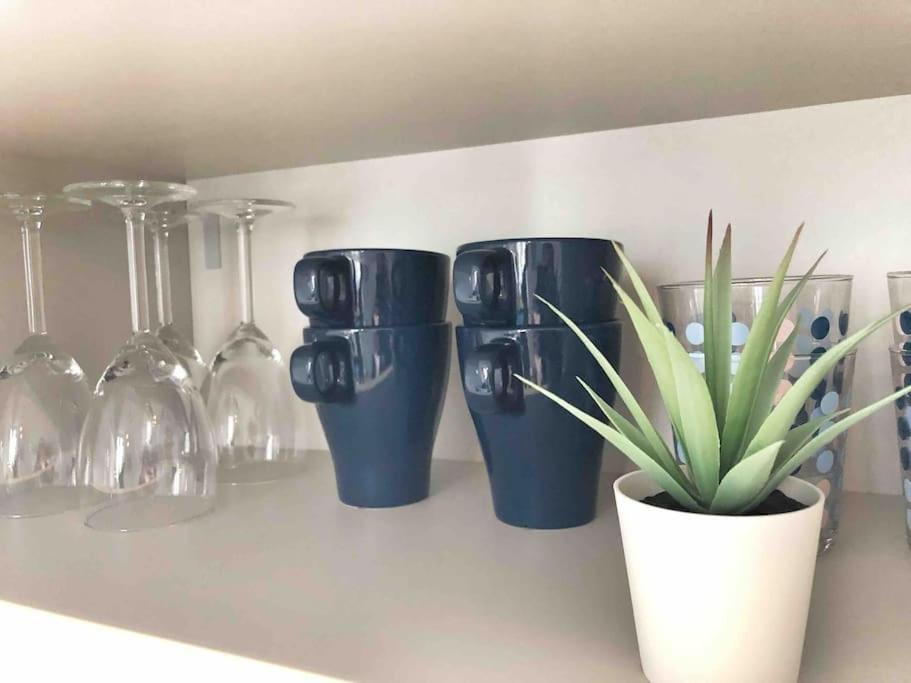 Homelivia, Votre Ideal Pour Decouvrir Nice